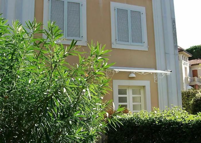 Ceccarini